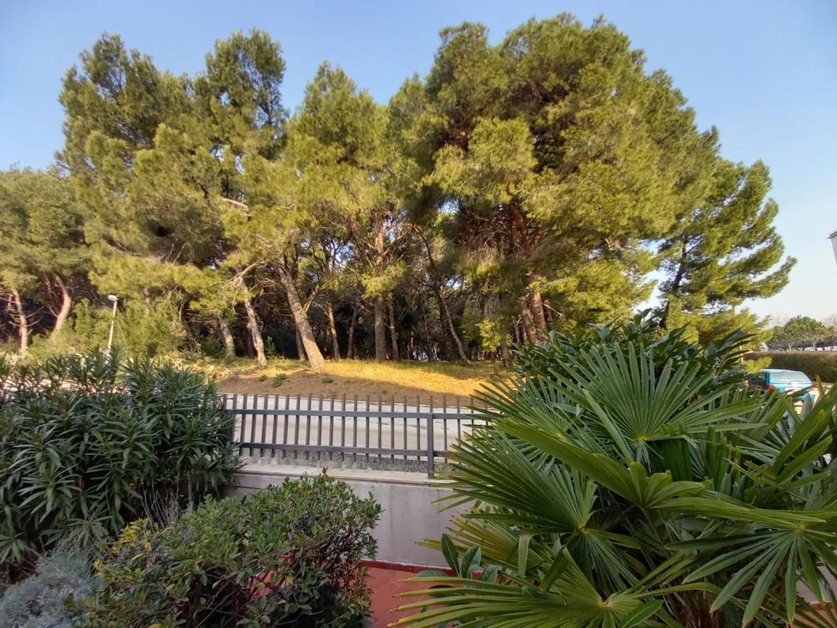 بولا Apartments Lungo المظهر الخارجي الصورة
